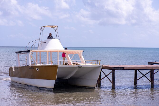 Bacardi Island Excursion with Catamaran, Beach and Lunch - Who should book this Bacardi Island excursion?