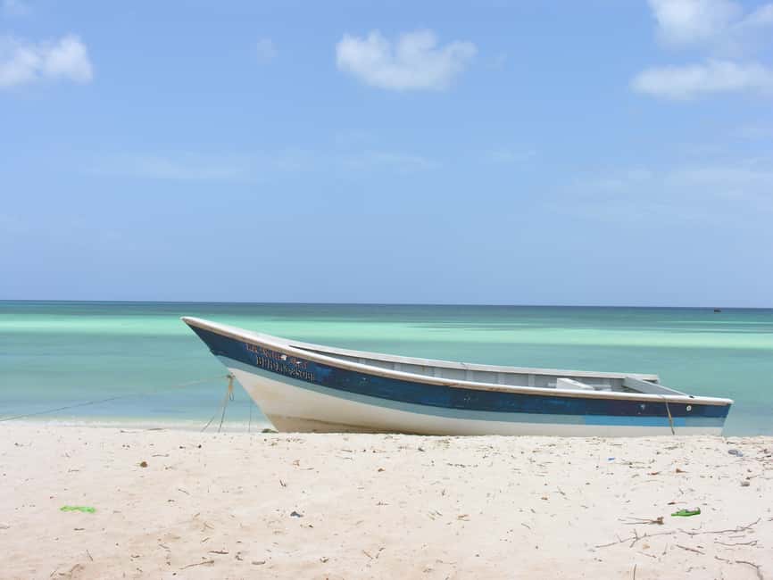 Bahía de las Aguilas: Beach Day Trip by Boat - Why Bahía de las Aguilas is worth the long ride