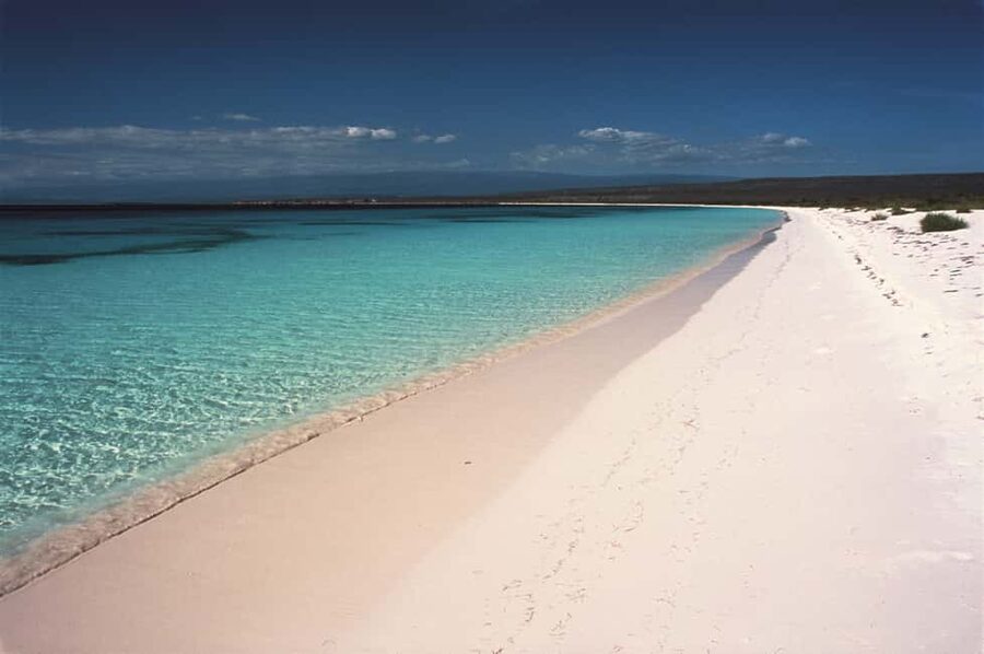 Bahía de las Aguilas: Beach Day Trip by Boat - Three hours at Bahía de las Aguilas