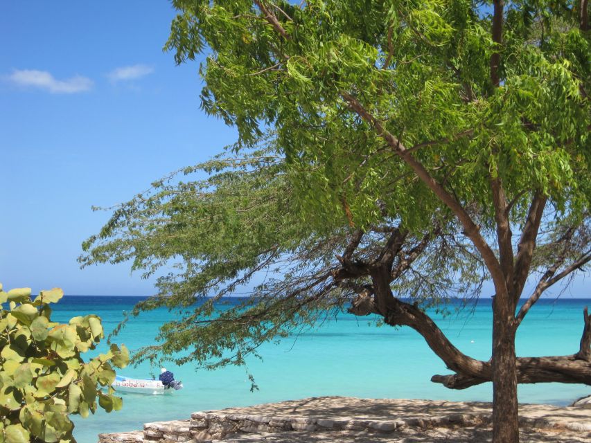 Bahía de las Aguilas: Beach Day Trip by Boat - Is $234 a fair price?