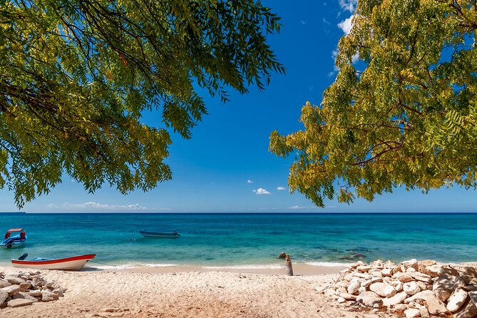 Bahía de las águilas glamping experience from Santo Domingo - Key points to know before booking