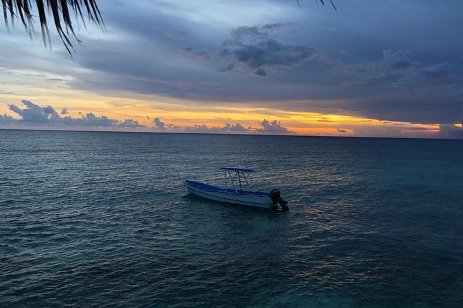 Bahía de las águilas glamping experience from Santo Domingo - The guide and the pace of the trip