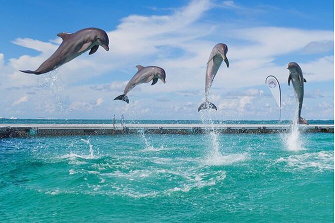 Bavaro Punta Cana EN boat party with drinks and transportation - Birthdays, weddings, and group celebrations