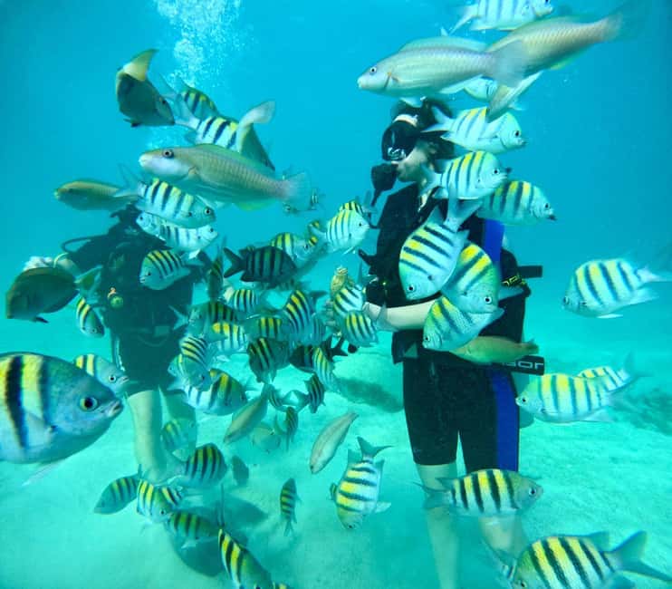 Bávaro: Scuba Diving Experience for Beginners - Key points to know before you book