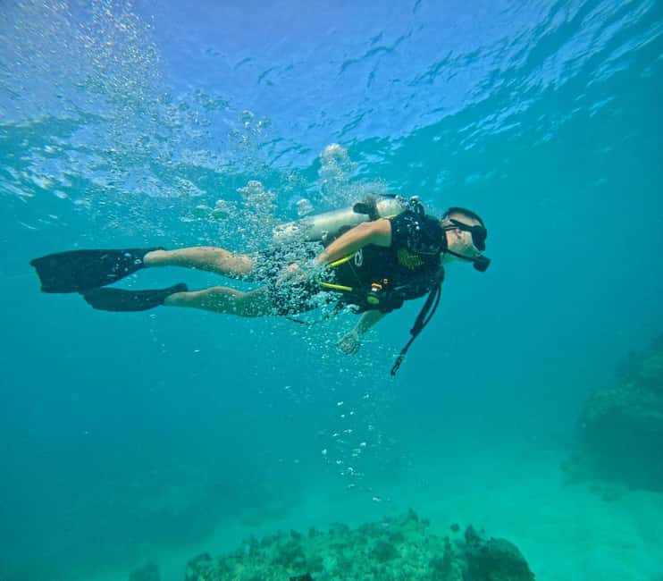 Bávaro: Scuba Diving Experience for Beginners - What this Bávaro scuba experience is really like