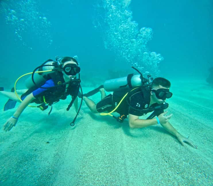 Bávaro: Scuba Diving Experience for Beginners - Pickup in Bávaro and the short van ride