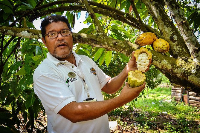 Bayaguana Countryside Safari from Juan Dolio/Boca Chica - Pickup, timing, and what to bring