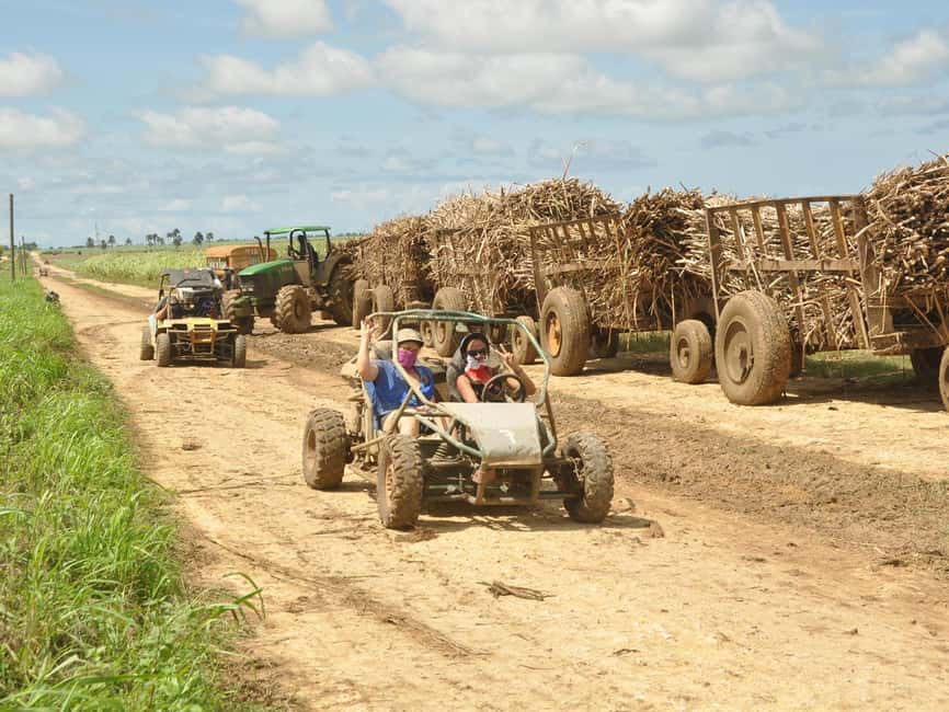 Bayahibe: Buggy and Horseback Riding Tour - One hour of buggy riding through muddy trails