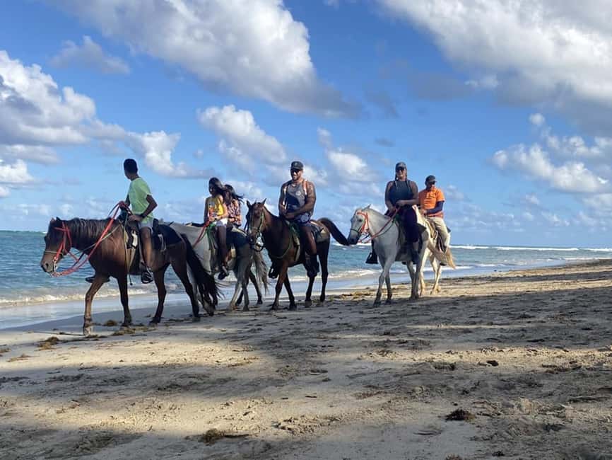 Bayahibe: Buggy and Horseback Riding Tour - Pickup from Los Melones and the small-group feel