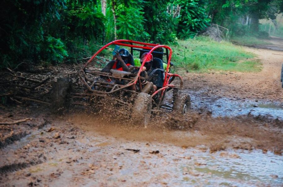 Bayahibe: Buggy tour amazing half-day - Driving through bateyes and sugarcane country