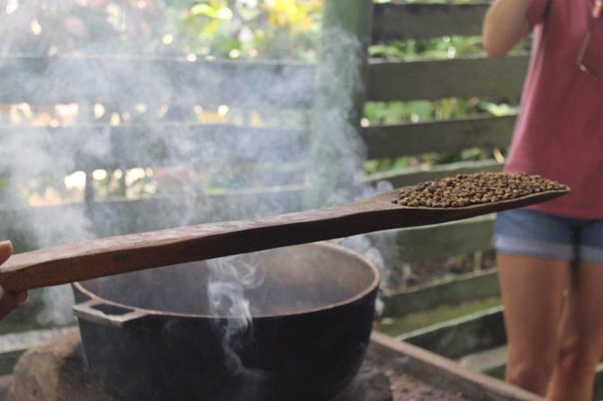 Bayahibe Countryside Safari from La Romana - Farm tastes: tropical fruit, coffee, and cacao