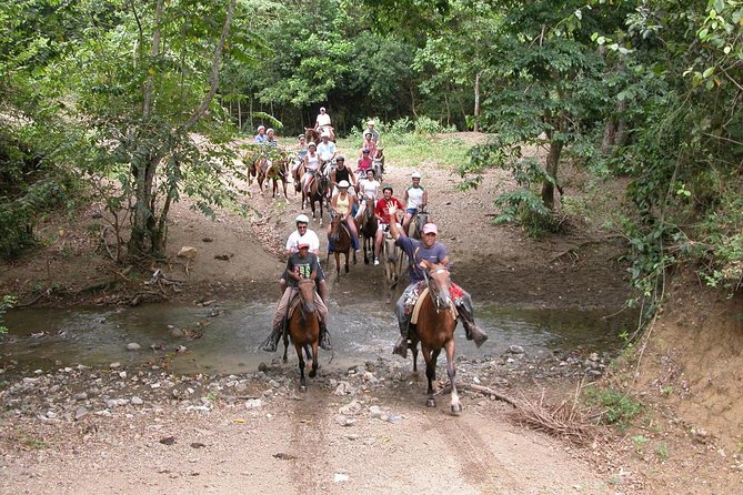 Bayahíbe Horseback Riding & River swimmig - A forest ride followed by a cool river swim