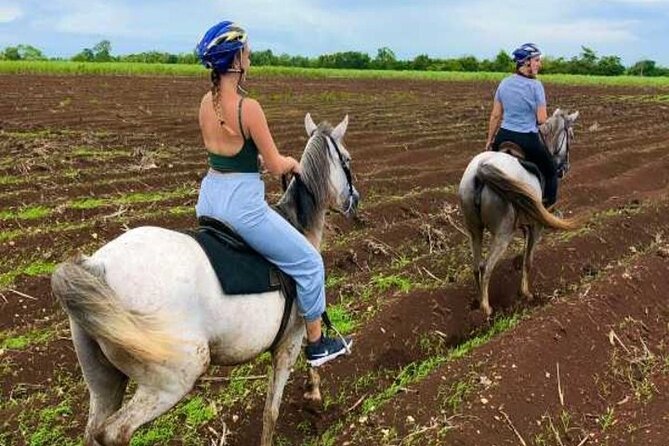 Bayahíbe Horseback Riding & River swimmig - $125 per person: where the value works and where it does not