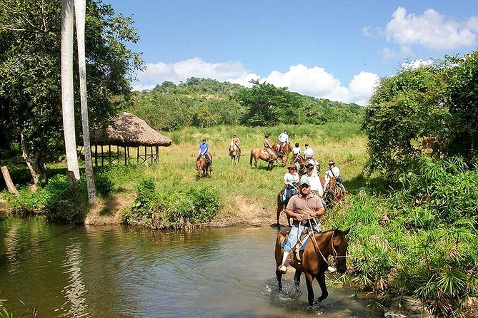 Bayahíbe Horseback Riding & River swimmig - The Chavón River stop is more than a quick photo break