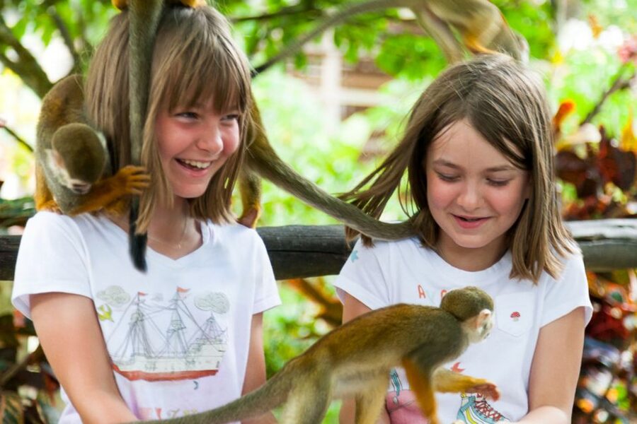 Bayahibe/La Romana: 4x4 Buggy and Monkeyland Tour - Who should book this full-day outing