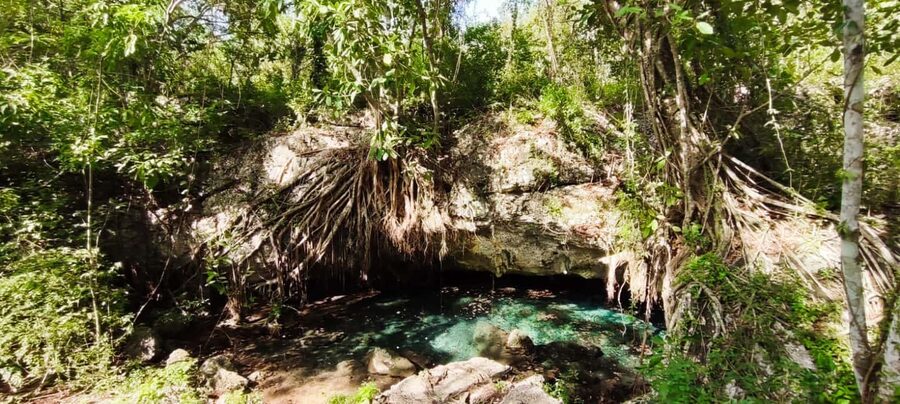 Bayahibe: National Park Jungle Walk & Snorkeling in Cenotes - A closer look at the three-hour schedule
