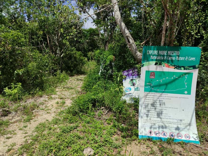 Bayahibe: National Park Jungle Walk & Snorkeling in Cenotes - Is $55 a fair price?