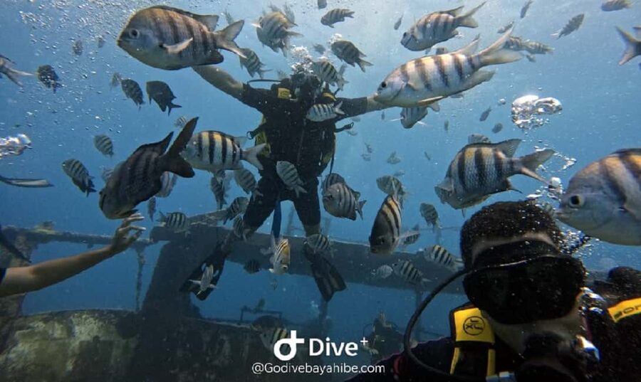Bayahibe: Scuba Diving Initiation by Go Dive Bayahibe - Meeting Gaëlle and Julien at the Beach School