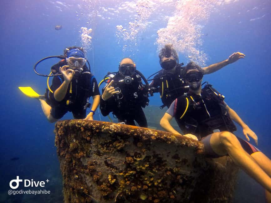 Bayahibe: Scuba Diving Initiation by Go Dive Bayahibe - What Happens During the 30 to 45 Minute Underwater Session