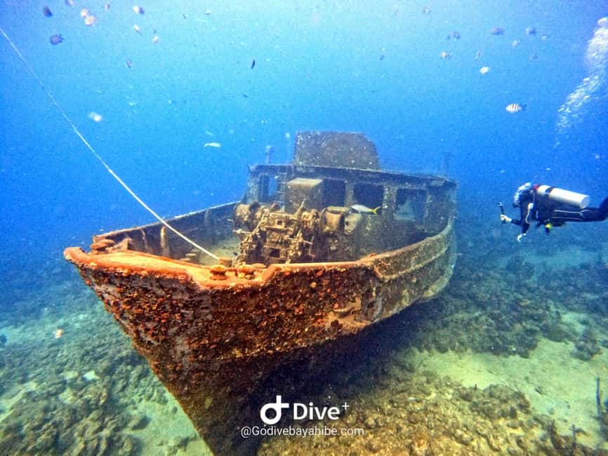 Bayahibe: Snorkeling Tour - Sea, Cotubanama park & Cenotes - Key points to know before booking