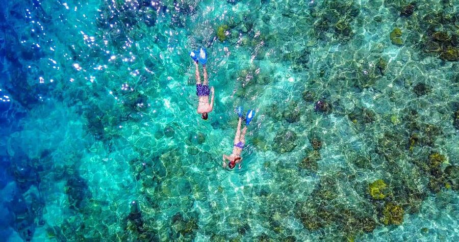 Bayahibe: Snorkeling Tour - Sea, Cotubanama park & Cenotes - Why the shipwreck stop may be your morning highlight