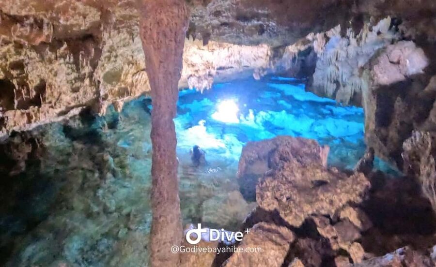 Bayahibe: Snorkeling Tour - Sea, Cotubanama park & Cenotes - Seaside lunch in Bayahibe