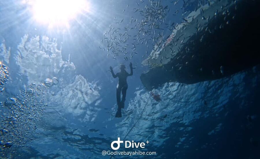 Bayahibe: Snorkeling Tour - Sea, Cotubanama park & Cenotes - Walking into Cotubanama National Park