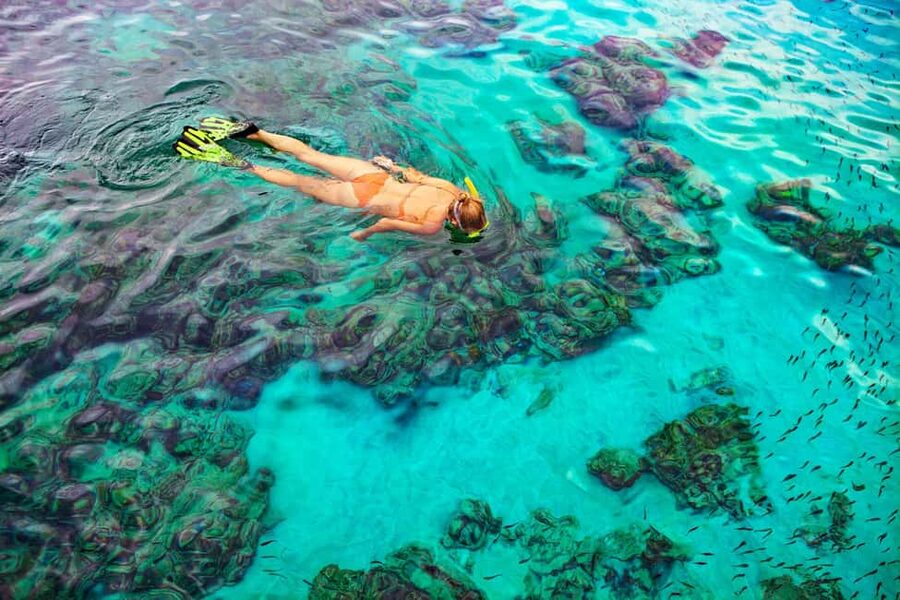 Bayahibe: Snorkeling Tour - Sea, Cotubanama park & Cenotes - Morning boat ride to two snorkeling sites