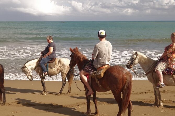 Beach Horse Ride with countryside amber cove & Taino Bay - Meeting the Horses Before the Ride