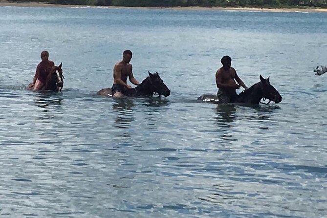 Beach Horse Ride with countryside amber cove & Taino Bay - Who Will Enjoy This Puerto Plata Horse Ride?
