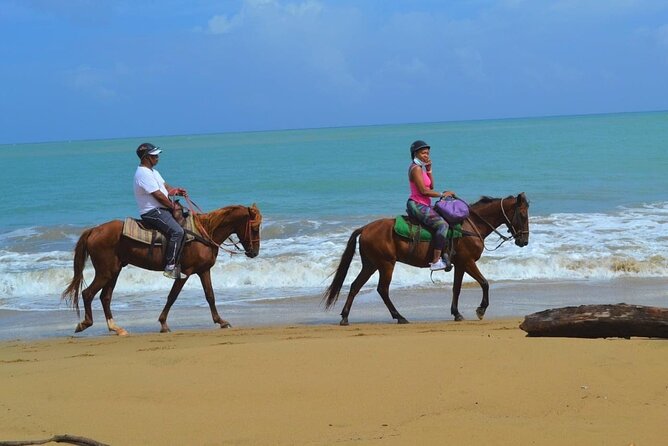 Beach Horse Ride with countryside amber cove & Taino Bay - A Balanced Look at the Main Drawbacks