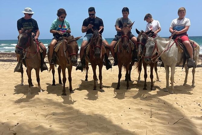 Beach Horseback Ride Tour at Punta Cana - The Maimon River mouth and coconut water stop