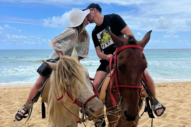 Beach Horseback Ride Tour at Punta Cana - Reaching the horses from Punta Cana hotels