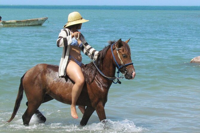 Beach Horseback Ride Tour in Puerto Plata - Scenic & Fun for All - Key points to know before you book