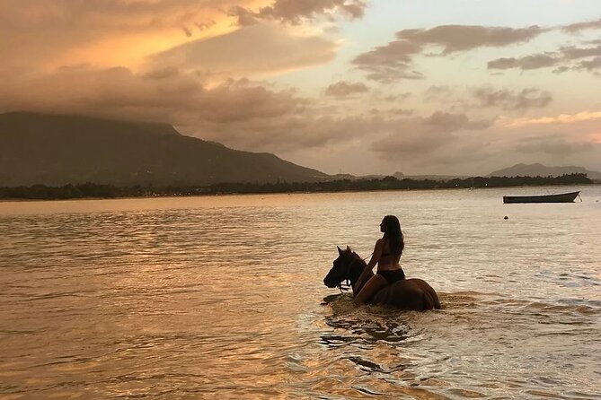 Beach Horseback Ride Tour in Puerto Plata - Scenic & Fun for All - From Puerto Plata pickup to the trailhead