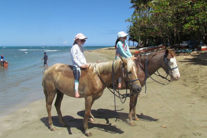 Beach Horseback Ride Tour in Puerto Plata - Scenic & Fun for All - The beach bar, drinks, shopping, and local touches