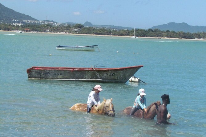 Beach Horseback Ride Tour in Puerto Plata - Scenic & Fun for All - What the $70 price really covers