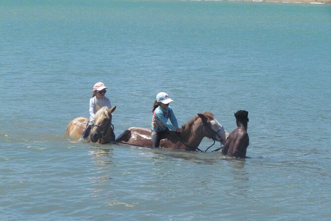 Beach Horseback Ride Tour in Puerto Plata - Scenic & Fun for All - Safety, comfort, and the 250-pound limit