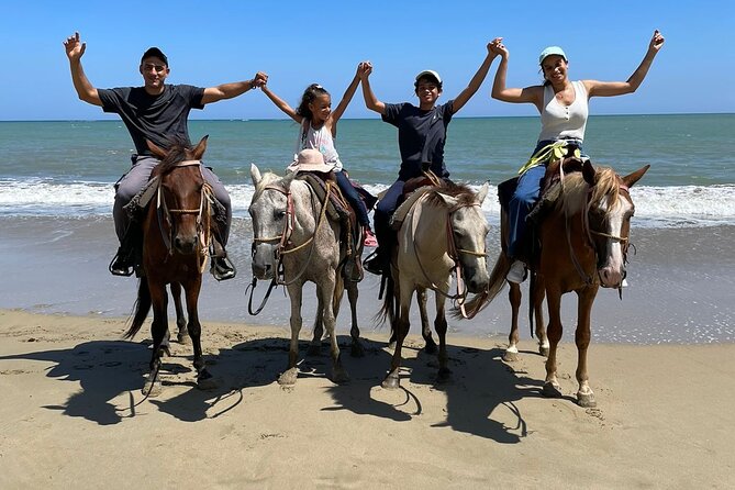Beach Horseback Riding and Swim Horse in Puerto Plata - Practical planning for your day