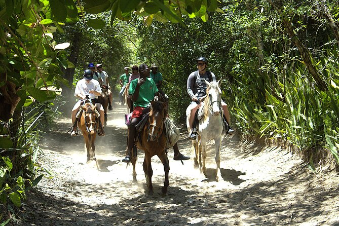 Beach Horseback Riding and Swim Horse in Puerto Plata - How the experience compares with a standard beach ride