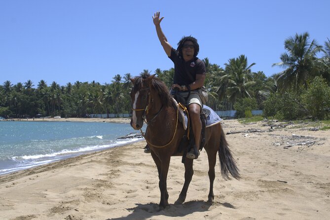 Beach Horseback Riding and Swim Horse in Puerto Plata - Should you book the Rancho Montecarlo ride?