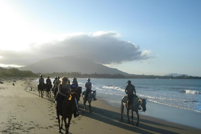 Beach Horseback Riding in Puerto Plata - Key points before you saddle up