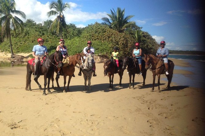 Beach Horseback Riding in Puerto Plata - Swimming with the horses