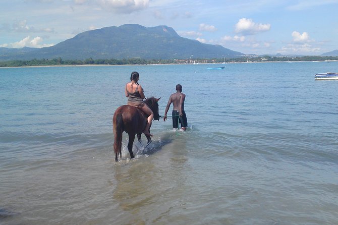 Beach Horseback Riding in Puerto Plata - Pickup, timing, and the meeting point