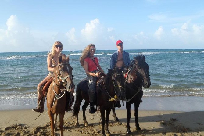 Beach Horseback Riding in Puerto Plata - The beach pace: walking, trotting, and more