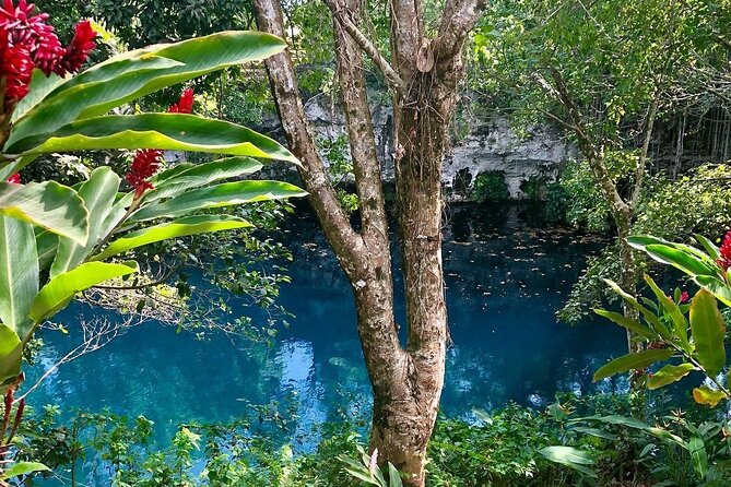 Blue Dudu Lagoon - The pickup problem deserves serious attention