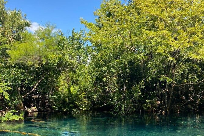 Blue Lagoon Tour with Catamaran Cruise and Snorkeling - Guides who add local context