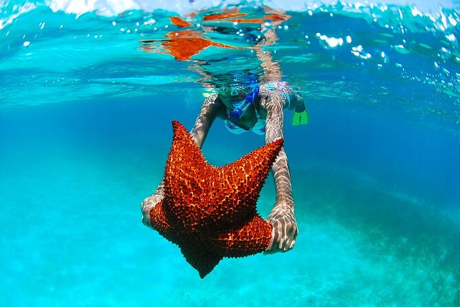 Boat Party in Punta Cana (Party Boat) - Setting Sail From Jellyfish Restaurant at 2:30 pm