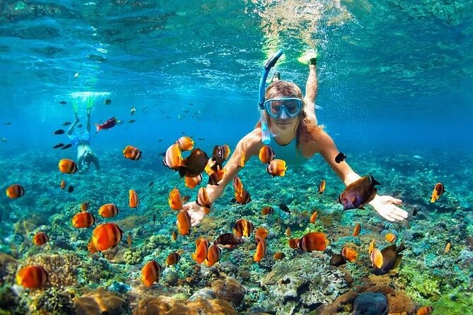 Boat Party with Drinks and Snacks with Transportation Included - One hour in the natural pool