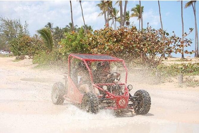 Boogies & Polaris - Explore Punta Cana in a Buggy - Coffee, cocoa, and the farm roads